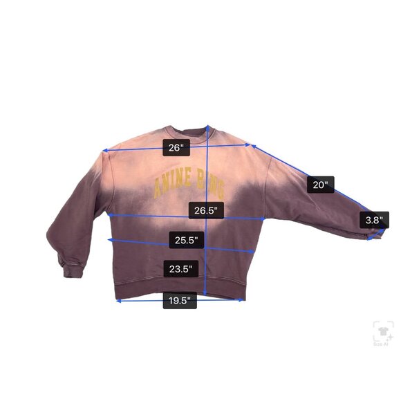 Anine Bing Womens Pink Ombre Sweatshirt Graphic Casual Crewneck Sz M - Picture 10 of 11